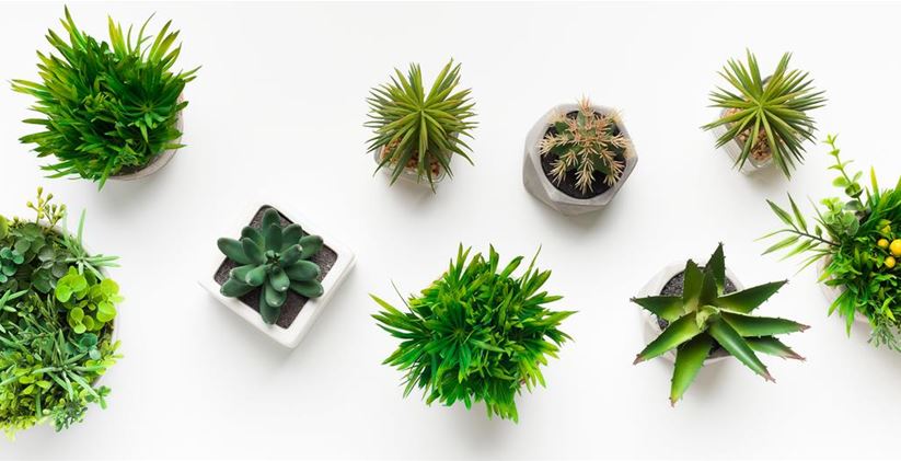 various-artificial-plants-in-pots-on-white-table-8DFWGNH.jpg