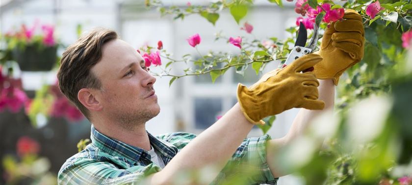 46+ Büchele Garten &amp; Wohnkultur Gmbh, Einzelhandel mit blumen,