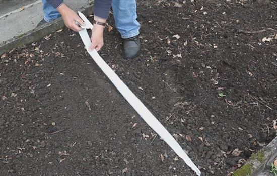 Blumen - Auslegen von Saatbändern Blumen - Auslegen von Saatbändern