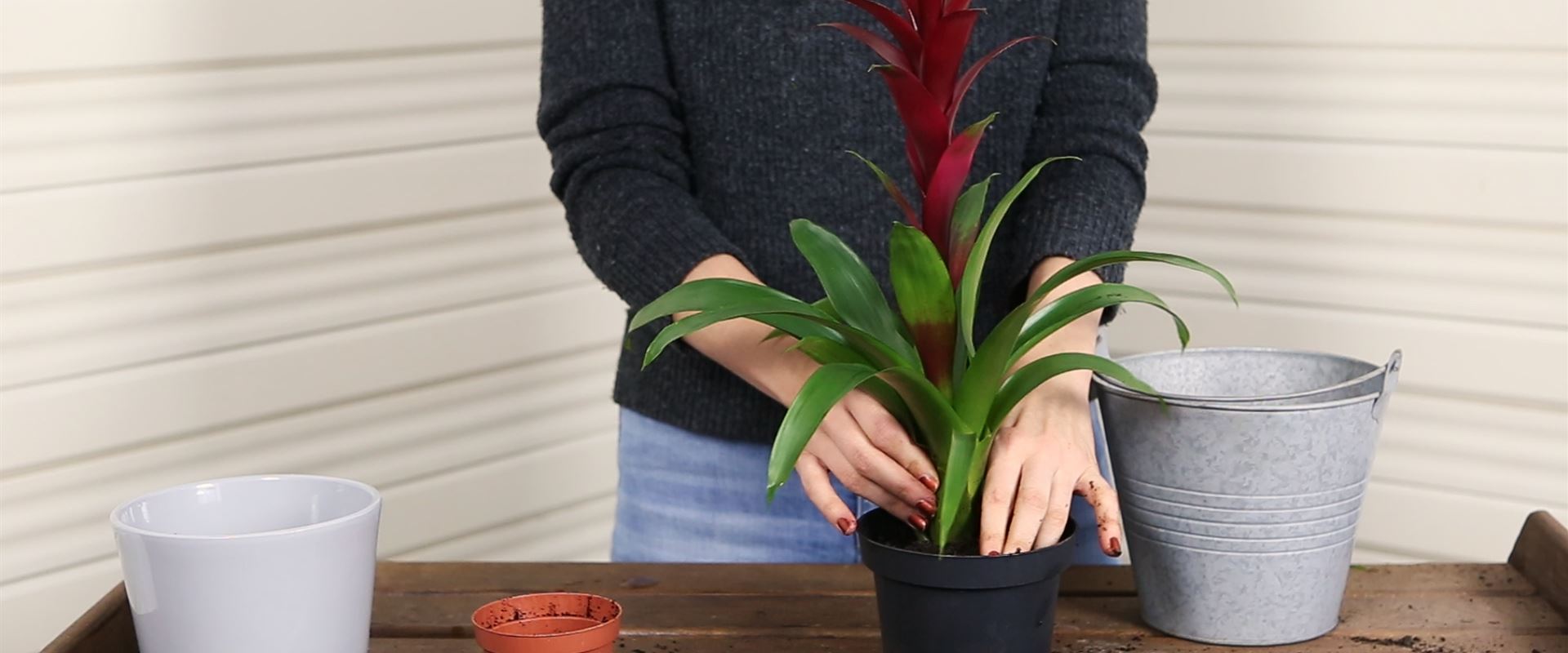 Videos - Büchele Garten & Wohnkultur GmbH