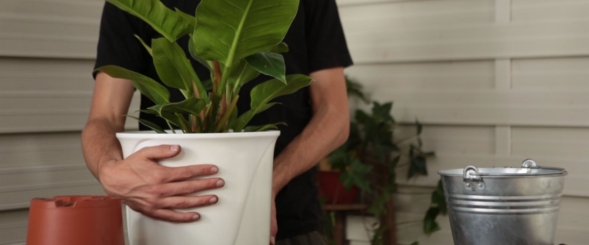 Videos - Büchele Garten & Wohnkultur GmbH