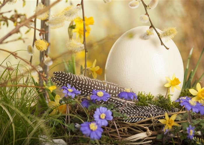 Das Garten-Paradies für Osterhase und Co.