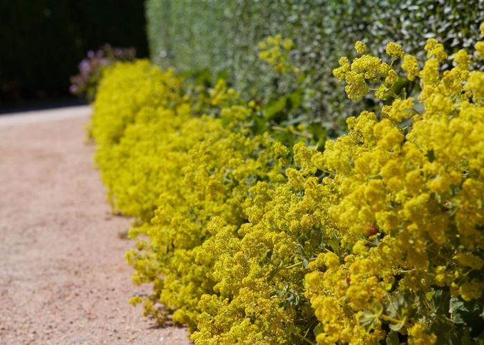 Blackbox-Gardening – die kreative Idee mit den großen Überraschungseffekten