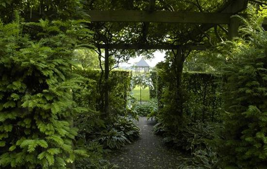 Garten easy going – so wird der Garten pflegeleicht