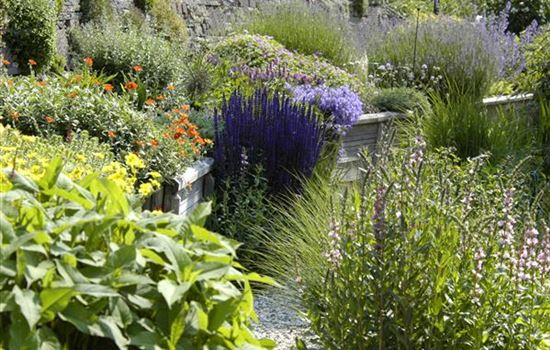 Das Staudenbeet – ein Blütenmeer im Garten