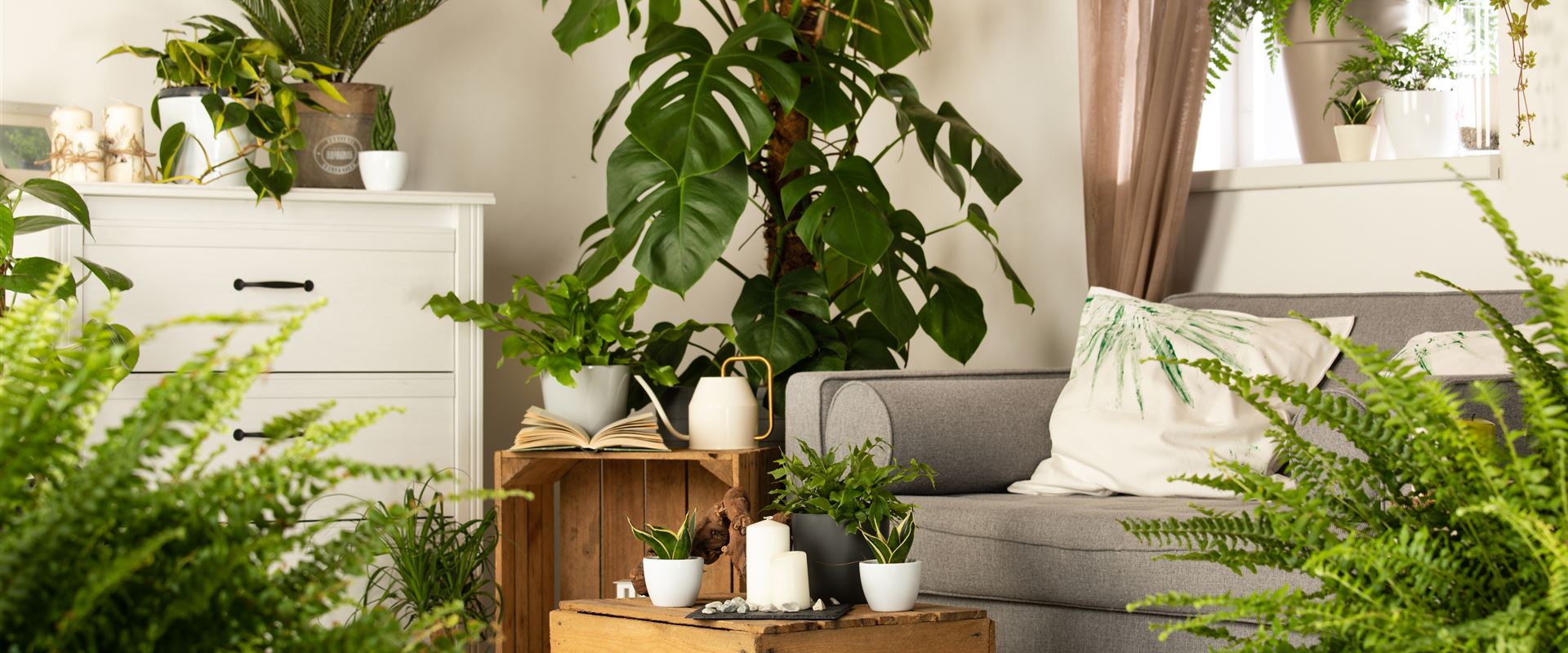 GS610213.jpg GS610213.jpg