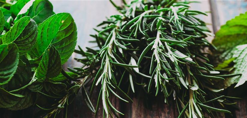 fresh-herbs-QMADPUW.jpg