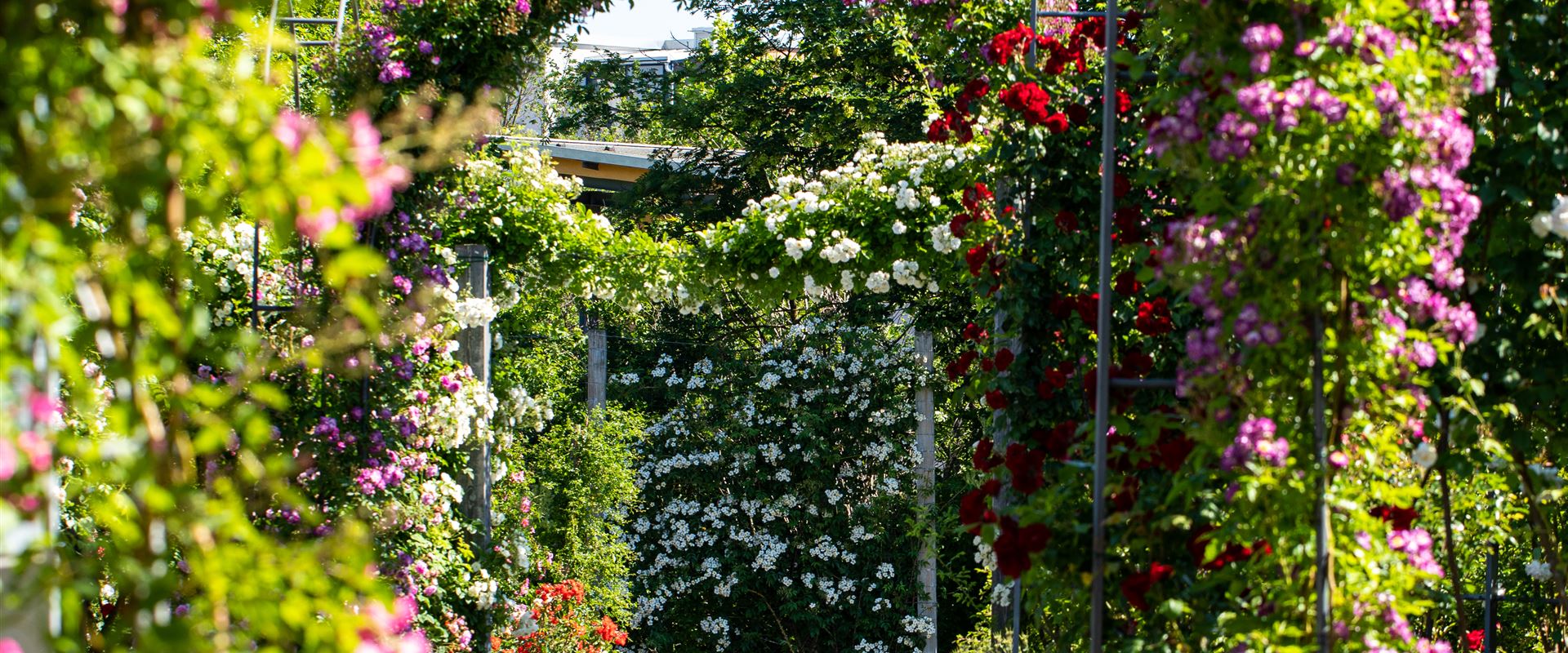 GS659312.jpg GS659312.jpg