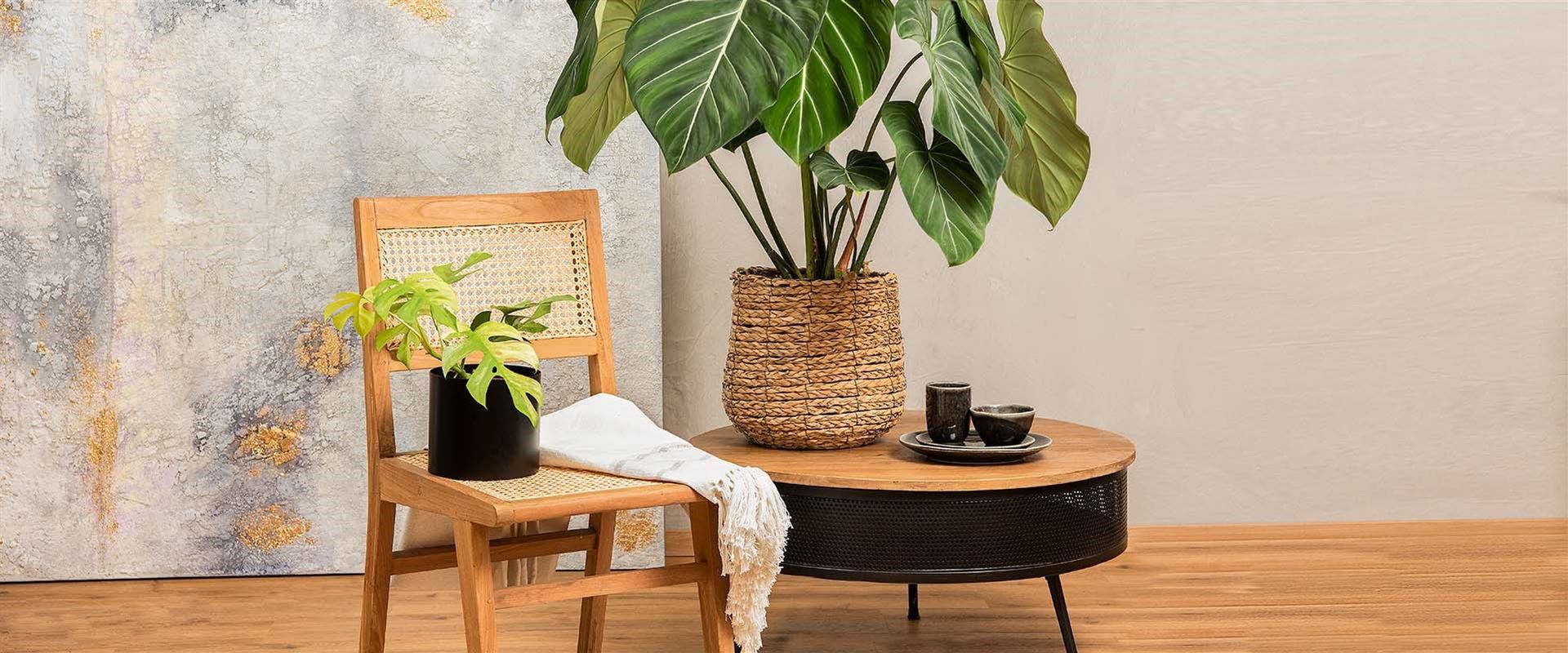 Bild shop.jpg Bild shop.jpg