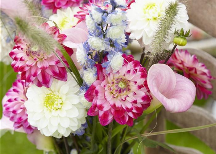 Beauty-Kur für den Blumenstrauß: Pülverchen und Hausmittel Beauty-Kur für den Blumenstrauß: Pülverchen und Hausmittel