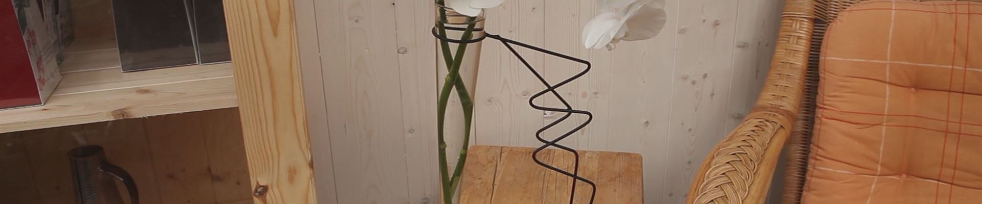 Orchidee - Anschneiden für den Heimgebrauch (thumbnail).jpg