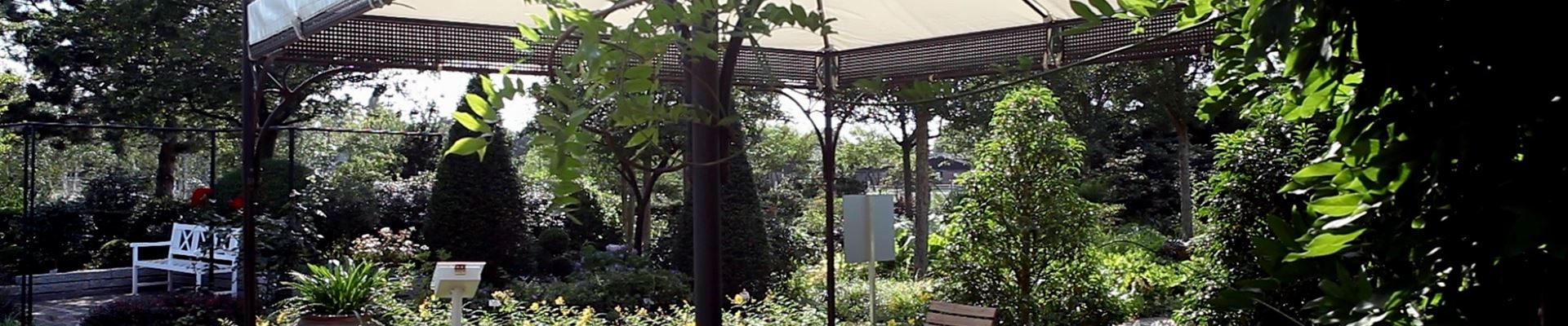 Gartengestaltung - Mediterraner Garten (thumbnail).jpg Gartengestaltung - Mediterraner Garten (thumbnail).jpg