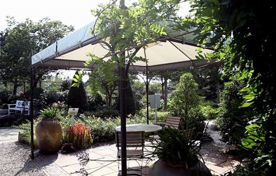 Gartengestaltung - Mediterraner Garten Gartengestaltung - Mediterraner Garten