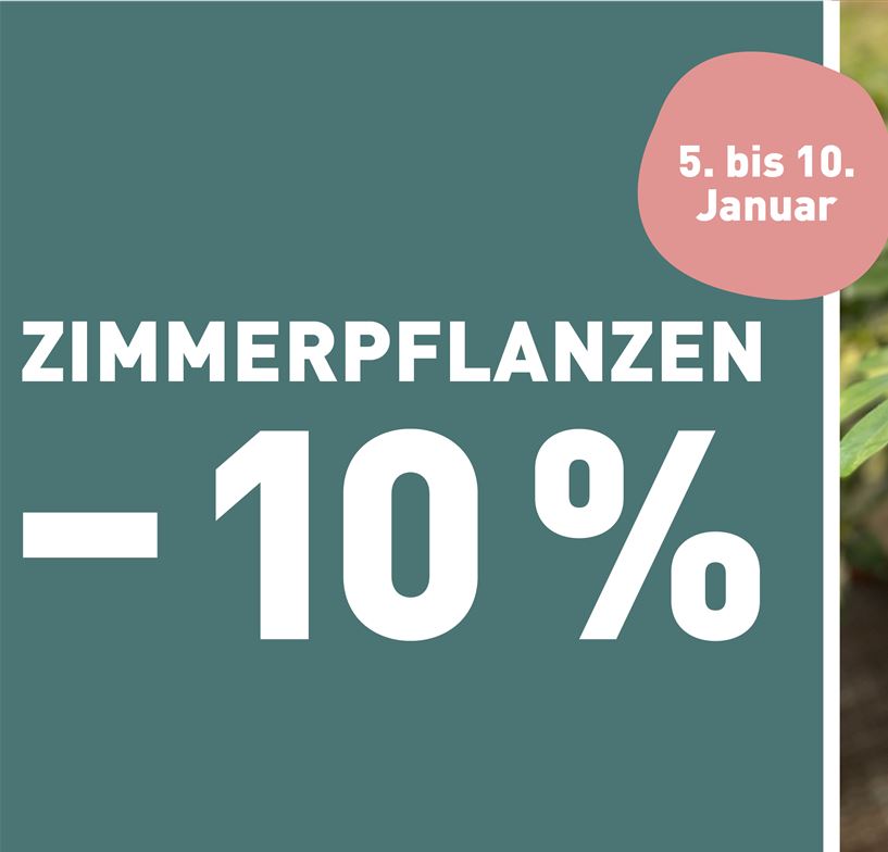 251217_Zimmerpflanzen_-10%_Titelslider.jpg