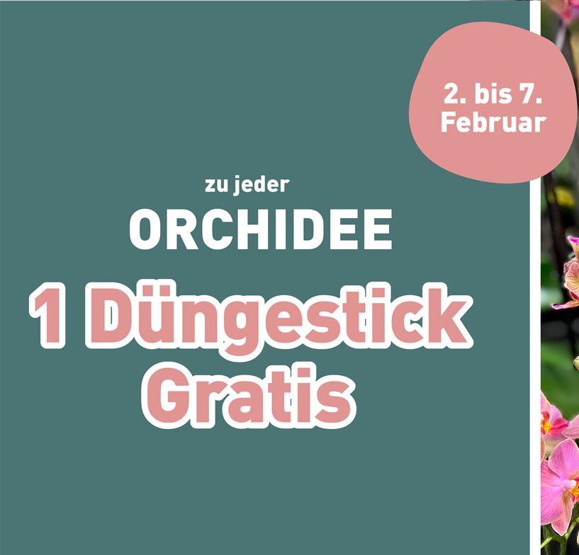 260126_Orchideen_Titelslider.jpg