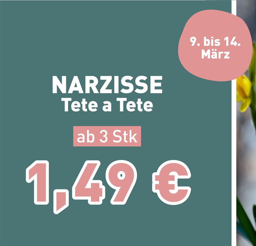 260304_Narzisse_TeteATete_titelslider.jpg