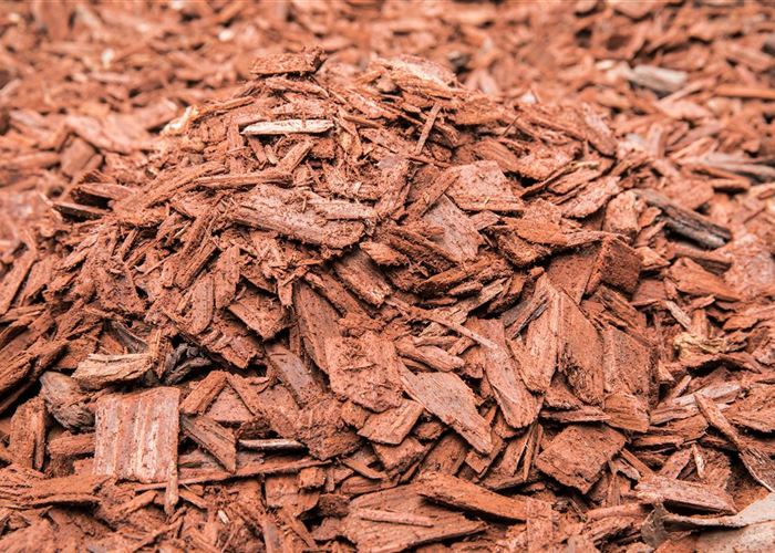 Der Mulch macht’s Der Mulch macht’s